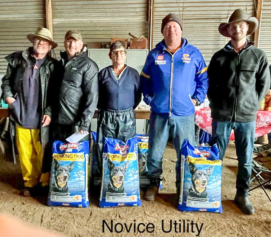 Novice Utility L-R Rod Forsyth 2nd Kumbark Tod, Simon Leaning 1st Marionvale Chip, Karyn Buller =3rd Boonining Maisy, Neil Eastough =3 Easties Ziggy, Blake Robonson 5th Ramulam Kick.