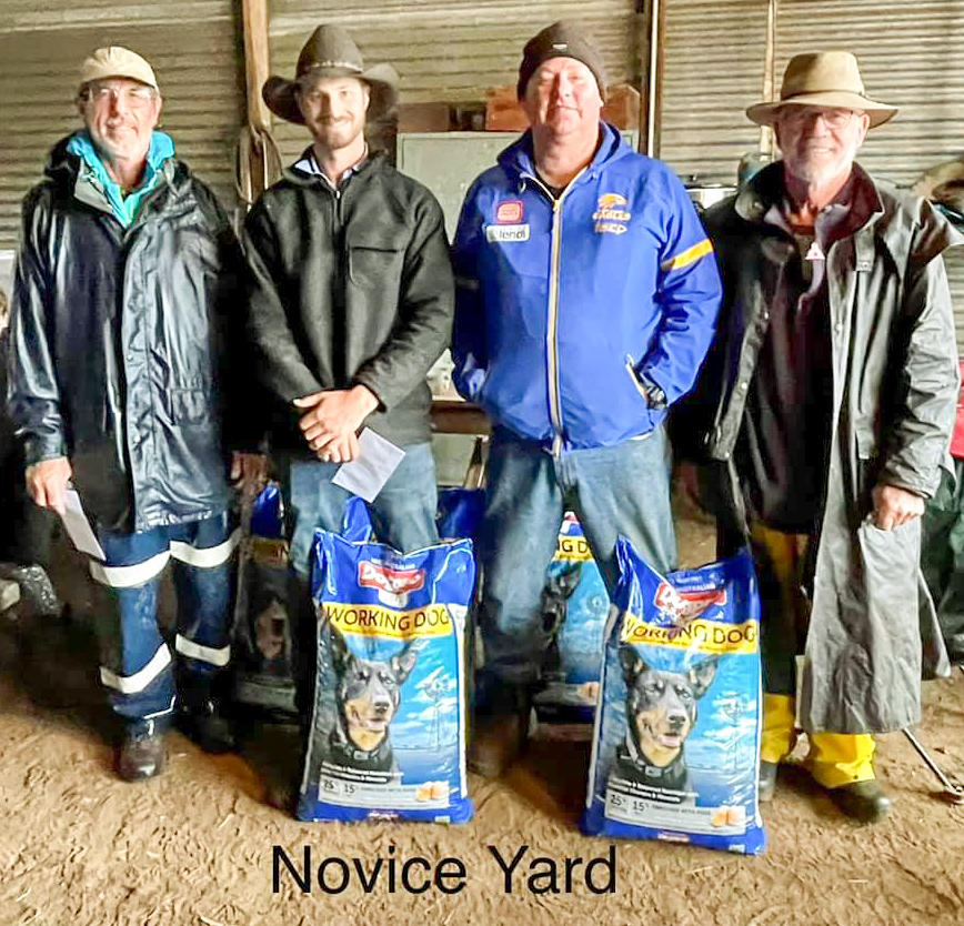 Novice Yard L-R Gordon Curtis 2nd Kumbark Tina & 6th Kumbark Indi, Blake Robinson 1st Nap & 5th Ramulam Kick, Neil Eastough 4th Easties Bones, Rod Forsyth Kumbark Tod.