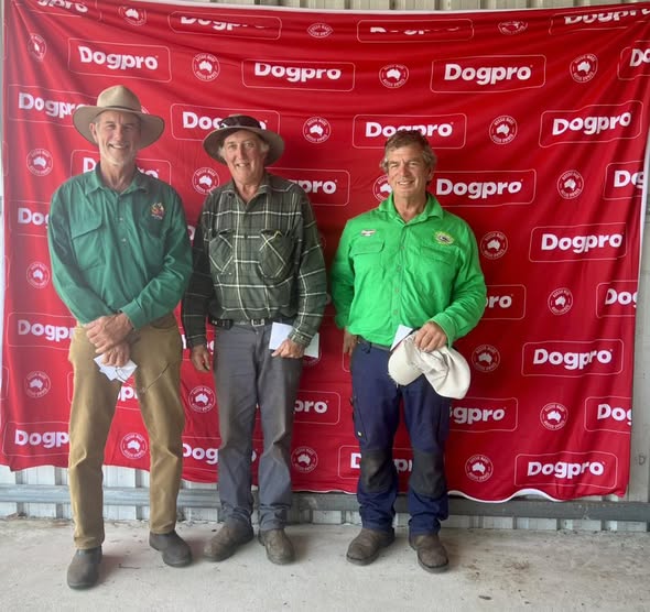 Open - Gordon Curtis (Binnaburra Chloe 1st & Binnaburra Marvin 4th), Ken Atherton (Ramulam Prickles 2nd), Grant Cooke (Grassvalley Grace 5th).