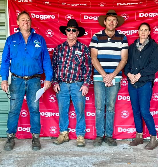 Improver Yard - Neil Eastough (Easties Ziggy 2nd), Neil Kristiansen (Badgingarra Maggie 1st & Badgingarra Wilson 3rd), Hayden Harries (Karridowns Freida 4th), Courtney Moir (Riche Blondie 5th).